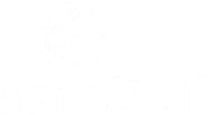 NanoSur